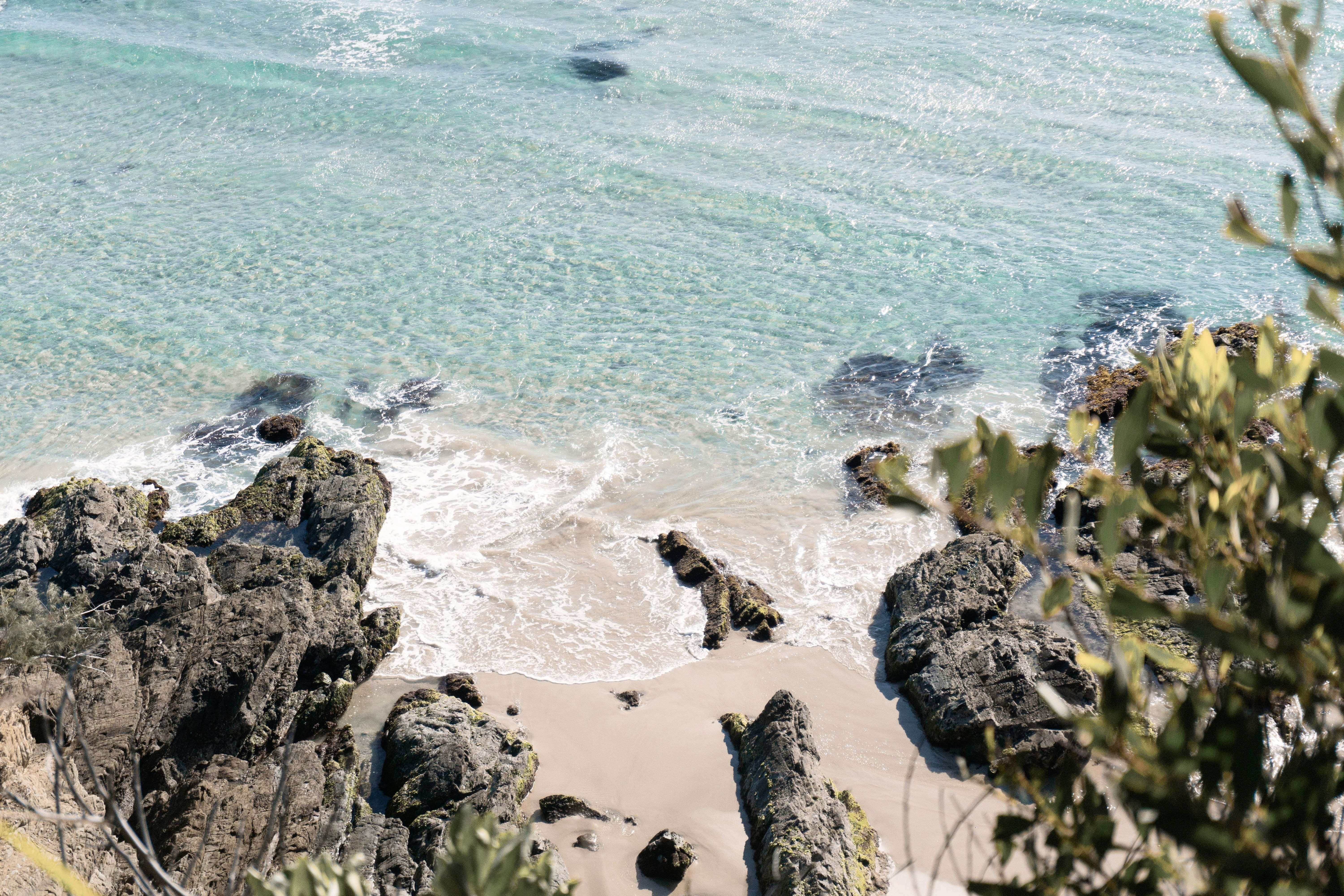 people on beach during daytime